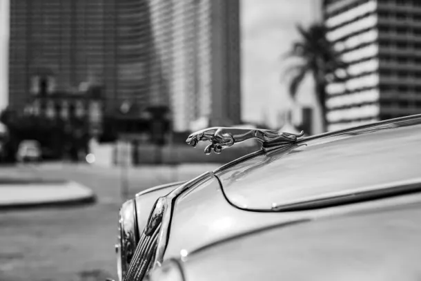 Casino Extra Aplicación Android/iOS